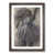 Walnut Framed selected