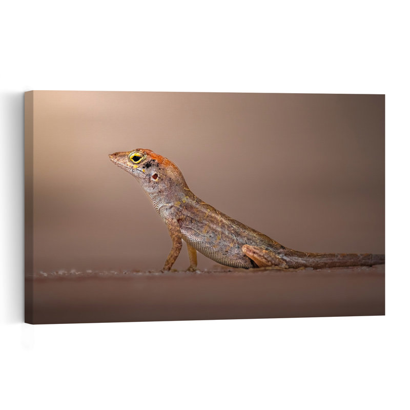 With Pride Contemporary Lizard Animal Nature Wall Art Print 1 Piece Wrapped Canvas Wall Art, 101.6cm H x 152.4cm W