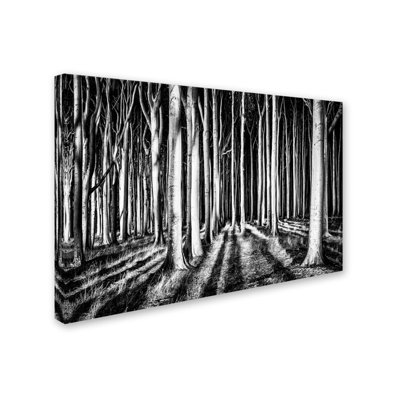 «Ghost Forest», reproduction d'impression sur toile tendue, H 16 po x l 24 po x P 2 po, Toile tendue
