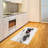 Pug High Density Long Fiber Poly Threads Decorative Area Rug Carpet-42029141