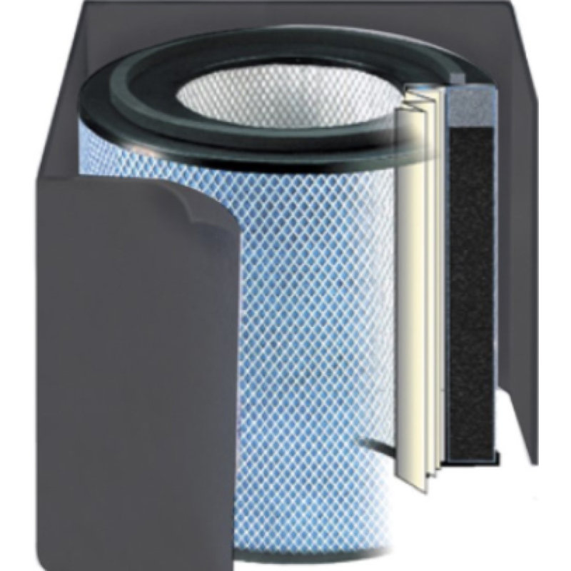 Austin Air Pet Machine Replacement Filter, Black