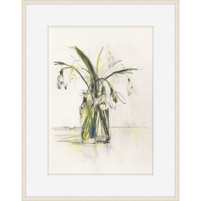 Plants & Flowers Print by Claudia Lowry
