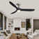 60'' 3 - Blade Dimmable Ceiling Fan With LED Light & Remote Control