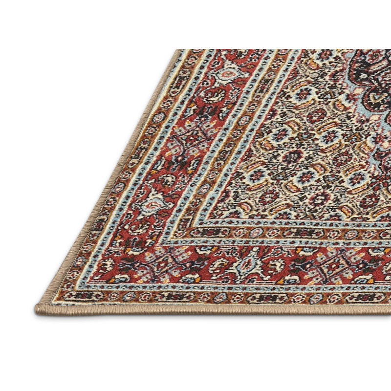 Caureen Oriental Indoor Rug, Rectangle 3' x 5'