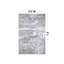 Tapis gris foncé / blanc Willington-1020955689