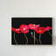 «Dramatic Poppies» par Sandra Iafrate - reproduction sur toile-2113706645