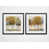 Black Framed selected