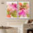 White Frame