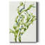 Raisins de mer - Reproduction de cadre photo sur papier-1740660654-1740660644