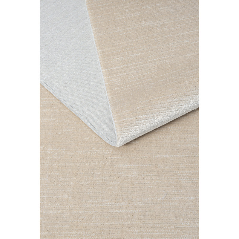 Ramir Machine Made 62.99cm X 90.55cm Indoor / Outdoor Area Rug