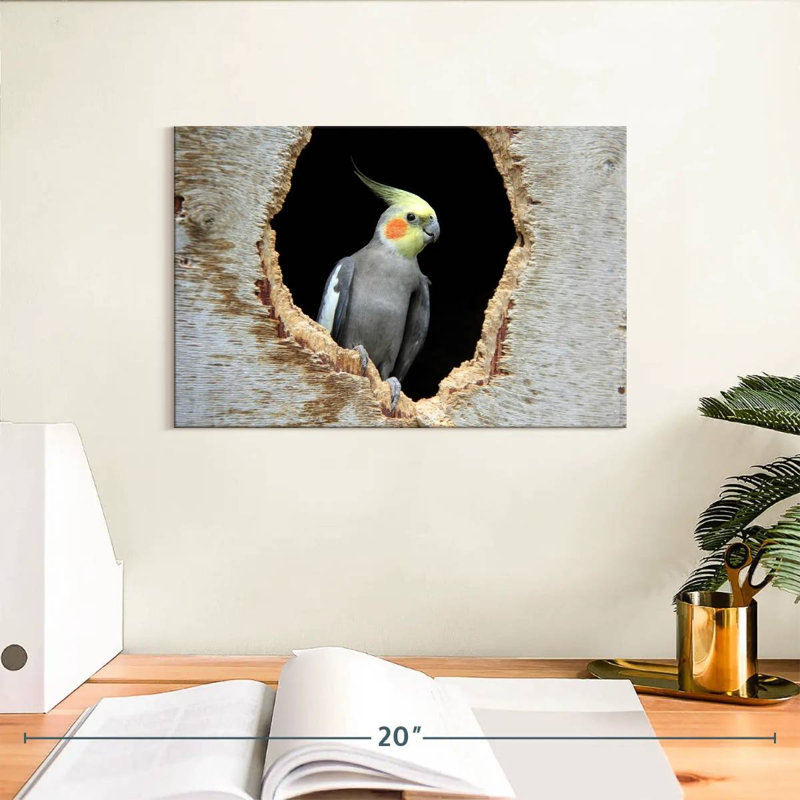 Cockatiel Brampt dans un trou, H 8 po x l 12 po