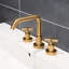 Cigno Widespread Faucet Drain Assembly-54347789