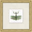 Flying Specimen 5 Print by Lillian August