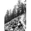 « Rocky Tree Line »-blanc/imprimé sur toile-37365384