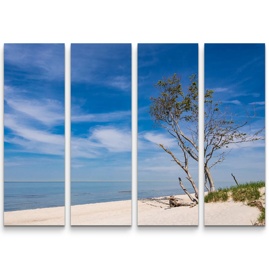 4-tlg. Leinwandbilder-Set Baum am Strand - Ostsee