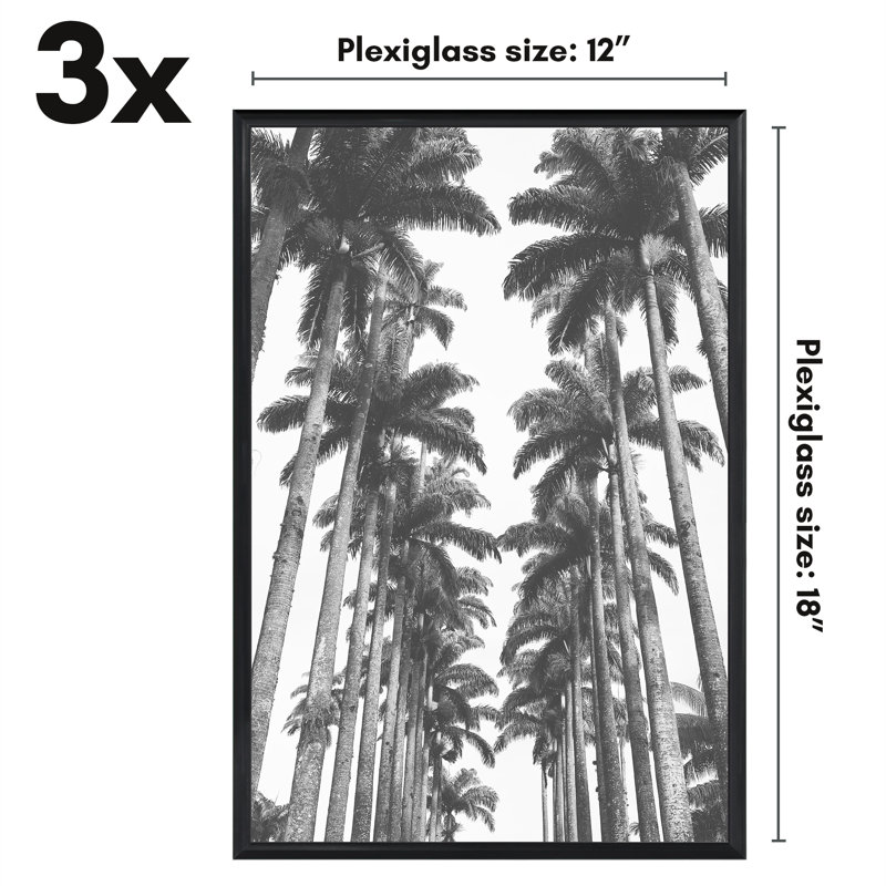 Malaya 3 Pack Lightweight Poster Frames Slide-In Photo Frames with Buildable Molding, 12" x 18"
