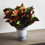 Plante magnolia artificielle 18" en urn