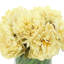 Peonies Floral Arrangement in Vase-1251473892