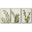 Botanical Wash I 3 pièces-97758418-97758422