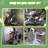 Multi-Level Christmas Cat Tree