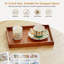Table basse Mid Century-1048935335