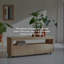 Anoa Media Console