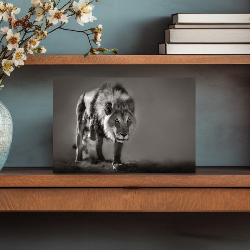Powerful African Lion Dramatic Abstract Contemporary Cat Lion Wildlife Landscape Wall Art Print 1 Piece Wrapped Canvas Wall Art