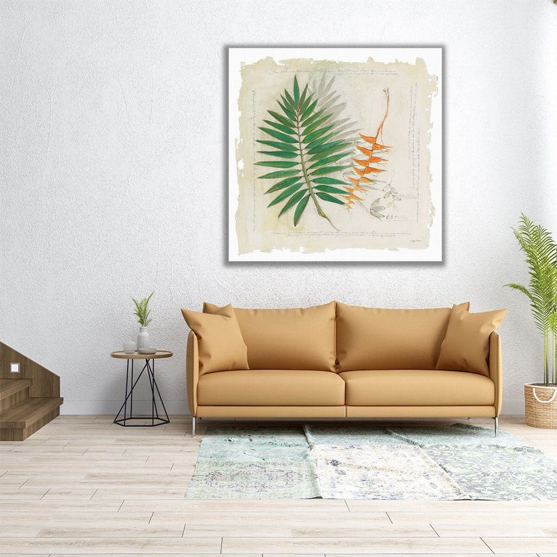 «Botanical Study II», reproduction d'art sur toile, H 12 po x l 12 po