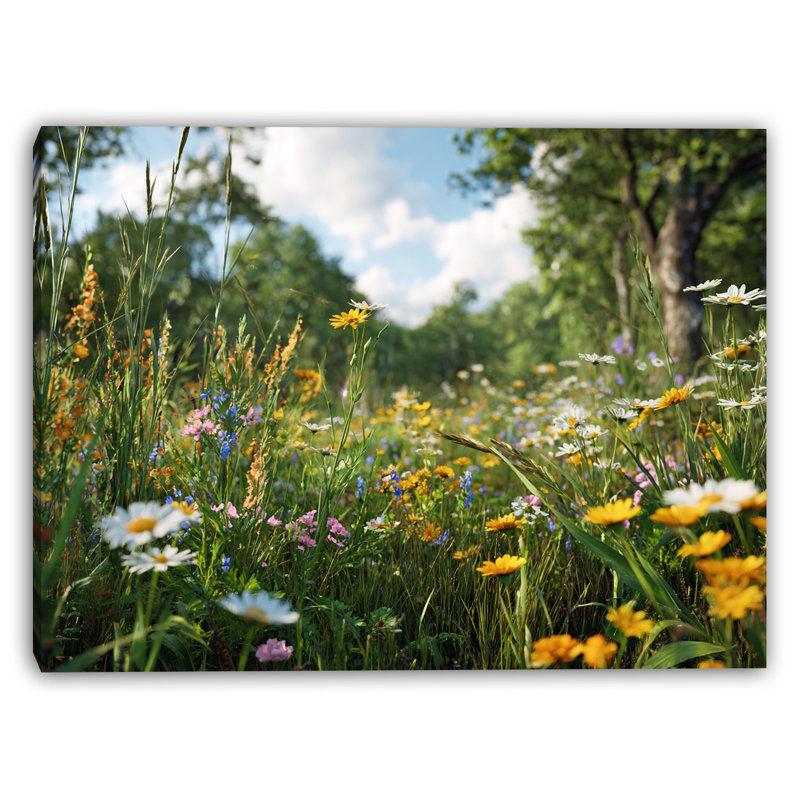 Art mural sur toile Sunlit Woodland Wildflowers, H 16 po x l 24 po