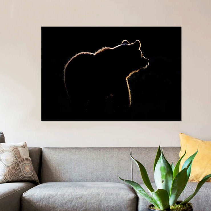 «Highlight», reproduction d'impression sur toile, H 8 po x l 12 po x P 0,75 po, Toile tendue, Pas de tapis