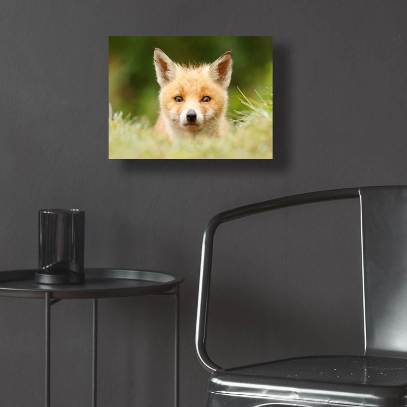 «Bad Fur Day» par Roeselien Raimond, H 12 po x l 16 po x P 0,13 po
