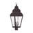 Arelene Lantern Head-76790906