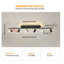 Black/Gold LED Adjustable Fixed Track Lighting Head