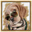 Stylish Pup - Impression sur toile-59930845-59930846