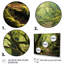 Woodland Serenity - Art mural forêt-314396532-314396521