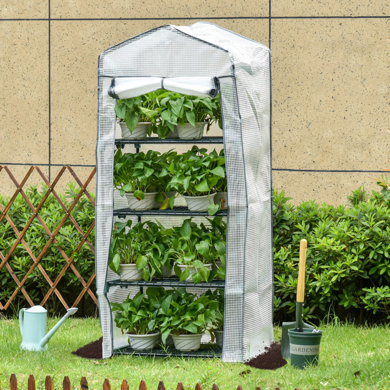 Brenton 4-Tier Portable Greenhouse With Sturdy Metal Frame And PE Cover