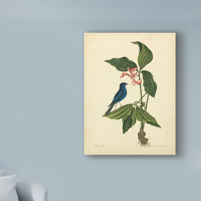 «Bird And Botanical IV», reproduction d'impression sur toile tendue, H 19 po x l 14 po x P 2 po