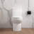 One-Piece Toilet 12" Rough-In, Elongated Bowl 1.1/1.6 GPF Dual Flush in White