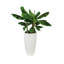 Pot Planter-37904944-37904943