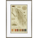 Lichen Studies, John Peter Westring, 1808 Giclee Print by Paul Cezanne