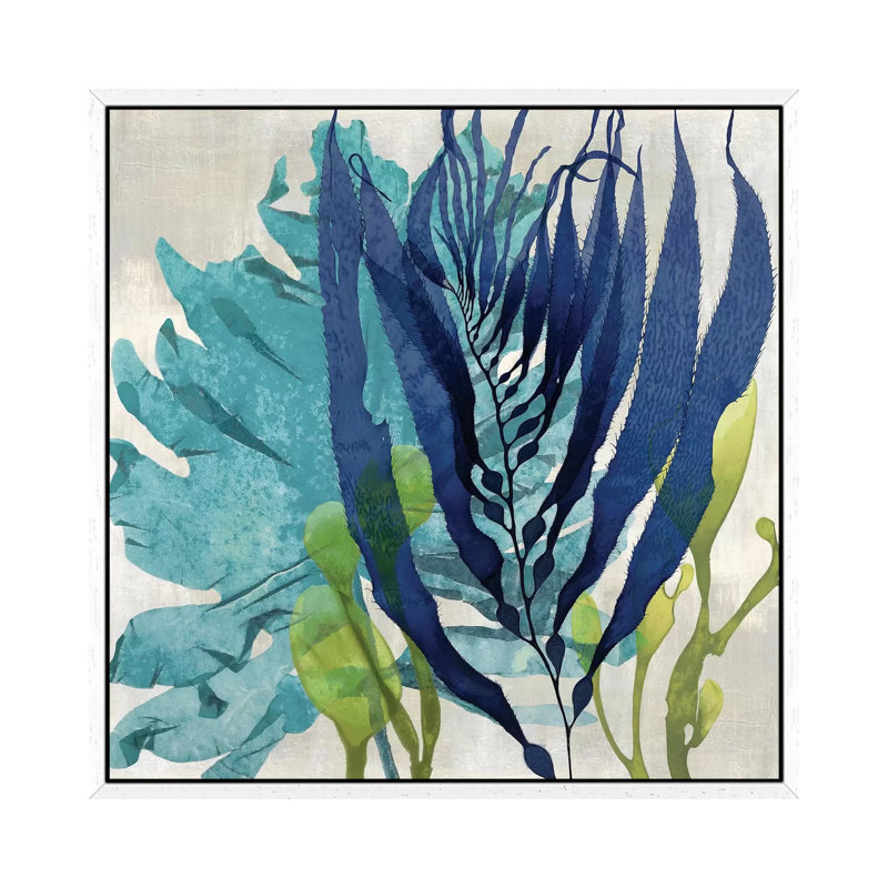 Sea Nature II 1 Piece Wall Art on Canvas, 66.04 cm H x 66.04 cm W, White Floater Framed