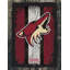 NHL Team Logo, reproduction sur toile tendue-47535168-45789033