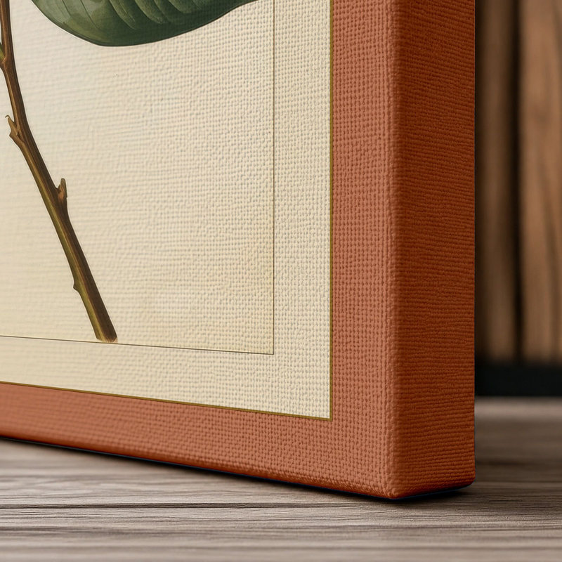 Print, 36x24 - 91.4 x 61.0 cm, Terracotta Border