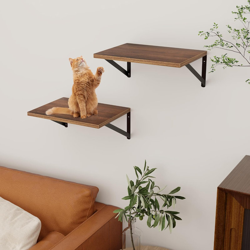 Ossiel Floating Shelf, Walnut