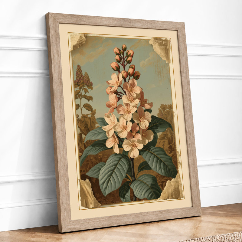 Flowering Plant Study Botanical - Framed Print, A2 - 59.4 x 42.0 cm, Oak