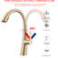 Robinet de cuisine en acier inoxydable brossé doré - douchette extractible, trou de 1,96 po, bec arqué haut, acier du robinet à poignée simple fonctionnel, diamètre du trou d'installation-519978284