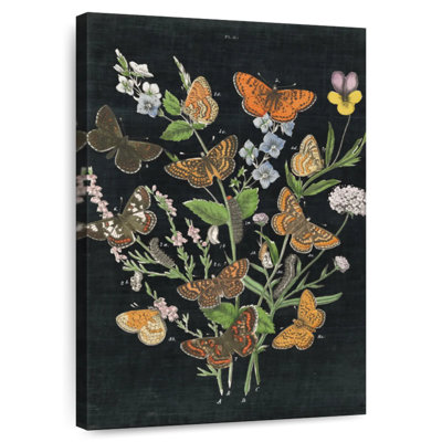Brampt Butterfly Bouquet On Black I