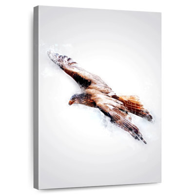 Hawk
