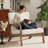Upholstered Solid Wood Accent Chair Armchair With An Extra Pillow, Beige Arms, Beige-639544657