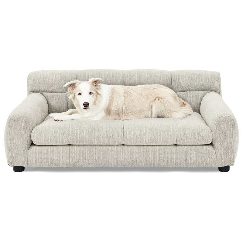 Fabrication de chien beige pour chiens de taille moyenne et grande - moderne avec pattes